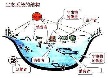 高規格麥飯石濾料生產廠家水產養殖業“欲速則不達”!調水快、培藻快、培菌快、蛋白高,最后“死得快”!