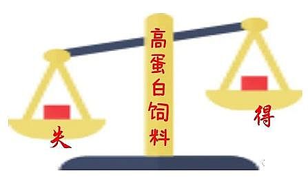 高規格麥飯石濾料生產廠家水產養殖業“欲速則不達”!調水快、培藻快、培菌快、蛋白高,最后“死得快”!