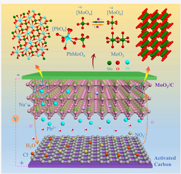 改性纖維球?yàn)V料20mm生產(chǎn)廠家選擇性電容去除廢水中的重金屬離子