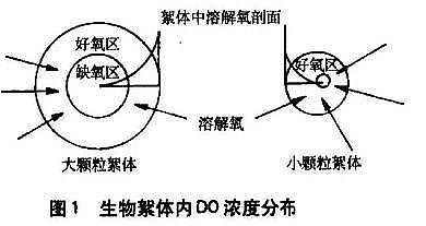環保水處理藥劑復合碳源廠家污水處理技術之短程硝化反硝化與同步硝化反硝化的區別
