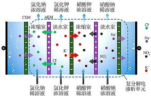 2021XVϏSҡC늝Bˇļglչc