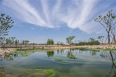 新款噴霧干燥聚合硫酸鐵SPFS廠家浙江大學牽頭:廢紙造紙行業廢水資源化利用成套技術研發取得新進展