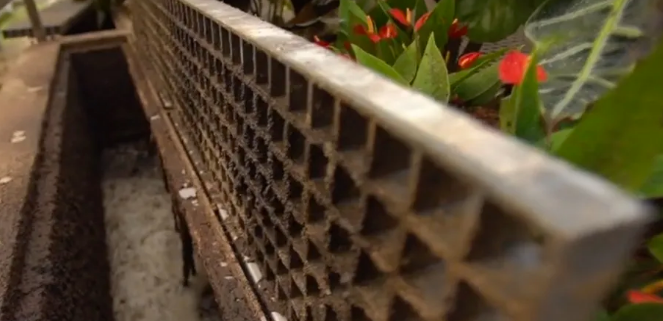 2021AʽȻXSҰ޵ԺơƏS̫ռg(sh)ˮYԴ