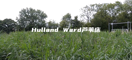 精制聚合氯化鋁鐵PAFC生產(chǎn)廠家打造下一代污水廠的厭氧工藝