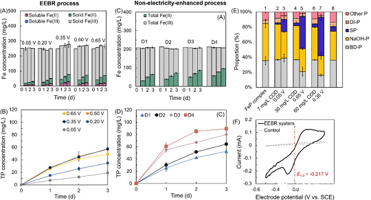 新式水處理藥劑復合碳源生產廠家電促進生物還原技術釋放并回收鐵鹽絮凝沉淀中磷的最新研究進展