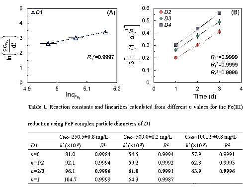 新式水處理藥劑復合碳源生產廠家電促進生物還原技術釋放并回收鐵鹽絮凝沉淀中磷的最新研究進展