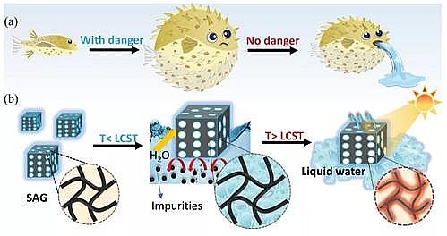 精選不銹鋼纖維束掛鉤生產廠家人造“河豚”實現太陽能凈水,在處理各種廢水方面具有很大潛力