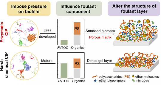 xľ~(y)ʯVa(chn)Søϴɾɶl(f)ķB͸Ĥ(f)Ⱦ(wn)}