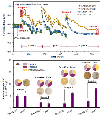 xľ~(y)ʯVa(chn)Søϴɾɶl(f)ķB͸Ĥ(f)Ⱦ(wn)}