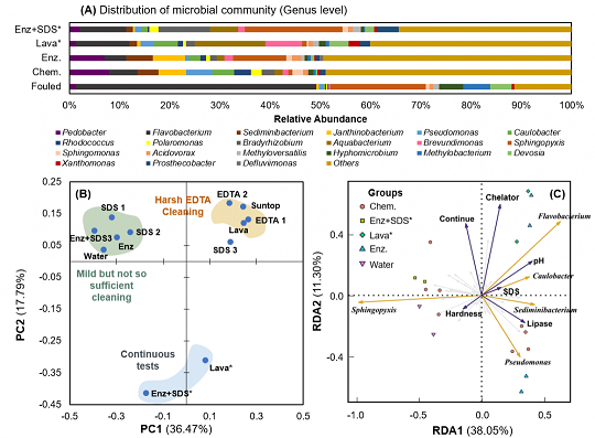 xľ~(y)ʯVa(chn)Søϴɾɶl(f)ķB͸Ĥ(f)Ⱦ(wn)}
