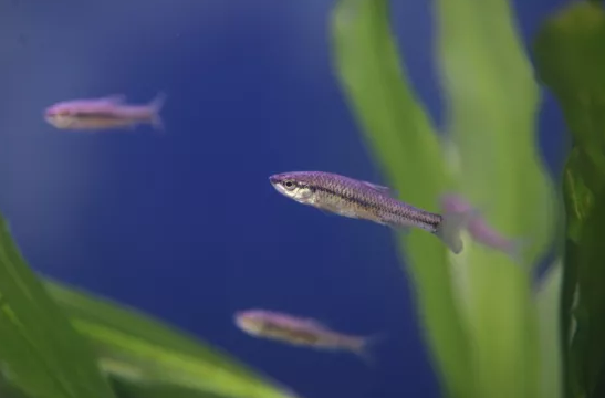 新式生物陶粒濾料生產(chǎn)廠家燕山石化污水回用裝置讓“能喝的污水”從傳說(shuō)變成現(xiàn)實(shí)