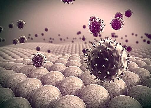 無煙煤濾料0.8-1mm廠家日本研發(fā)兼具高病毒去除率和高通量的全新超濾膜