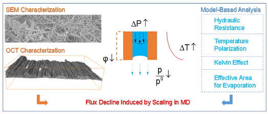 新式稀土瓷砂濾料廠家發(fā)表膜蒸餾系列研究成果
