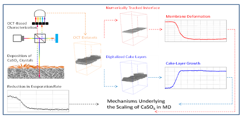 新式稀土瓷砂濾料廠家發(fā)表膜蒸餾系列研究成果