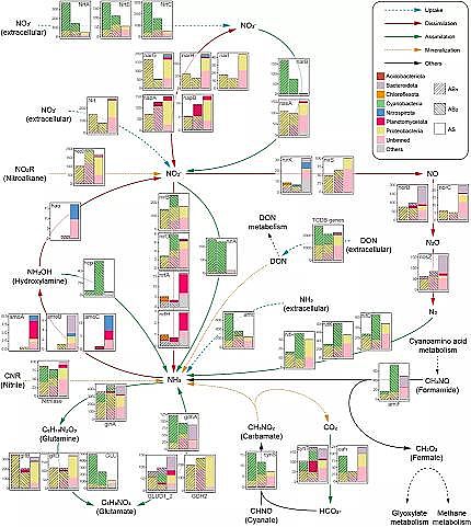 高品質生物流化床填料MBBR廠家藻生物膜減少微生物源溶解性有機氮的排放