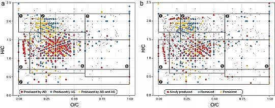 高品質生物流化床填料MBBR廠家藻生物膜減少微生物源溶解性有機氮的排放