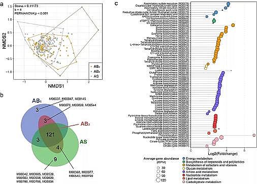 高品質生物流化床填料MBBR廠家藻生物膜減少微生物源溶解性有機氮的排放