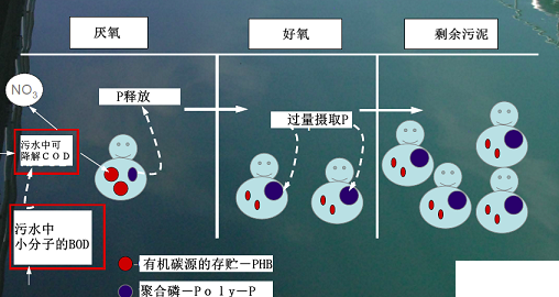 高質量改性纖維球濾料廠家A2O工藝管理初步研討