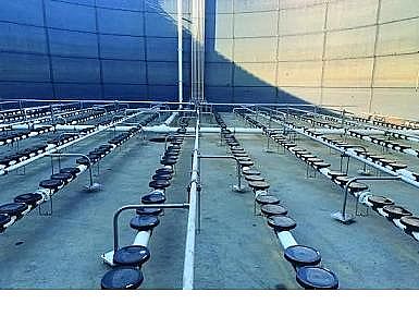 ߺxӾ۱ϩNPAMaSˮS^صӑՓ