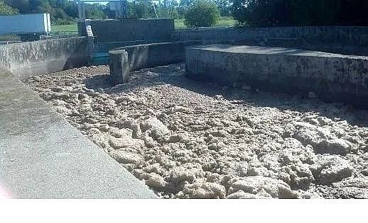 高品質椰殼活性炭廠家膨脹和泡沫的M. parvicella菌的簡述