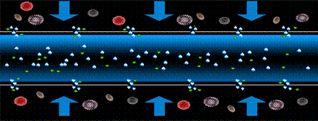 Ʒ|CбϏS12̖̫90죬@ЩUˮ̎g̎!