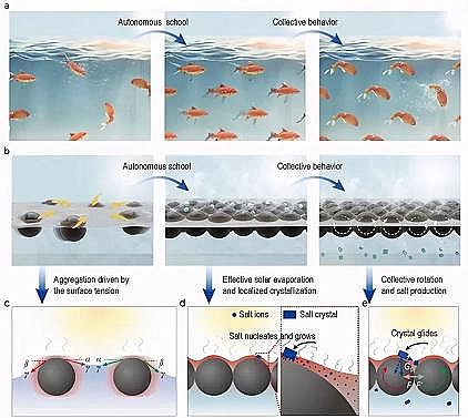 精選煤質(zhì)顆粒活性炭生產(chǎn)廠家受魚群效應(yīng)啟發(fā)的太陽能水鹽分離器件