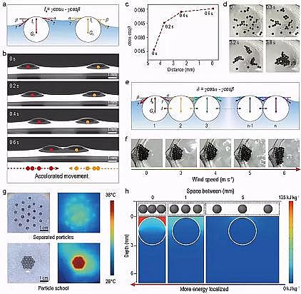 精選煤質(zhì)顆粒活性炭生產(chǎn)廠家受魚群效應(yīng)啟發(fā)的太陽能水鹽分離器件