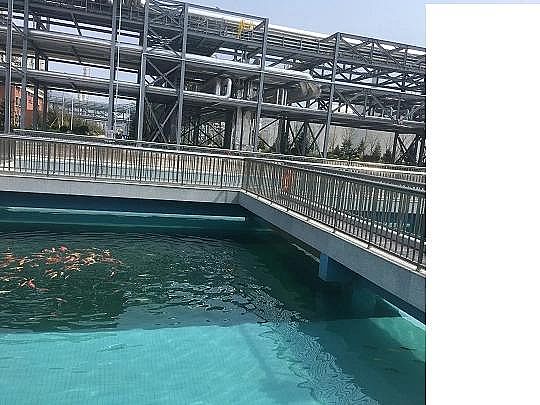 Ʒ|FۺFSPFSSȫһǶʽˮ̎SʯˮS