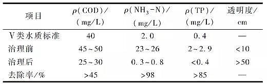 精制硫酸鋁廠家黑臭水體治理中的工程應用:超微氣泡富氧+生物活化技術