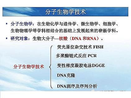 (yu)|(zh)͚a(chn)Sһf͸ˇ