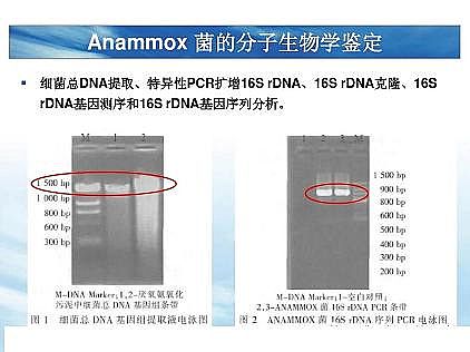 (yu)|(zh)͚a(chn)Sһf͸ˇ