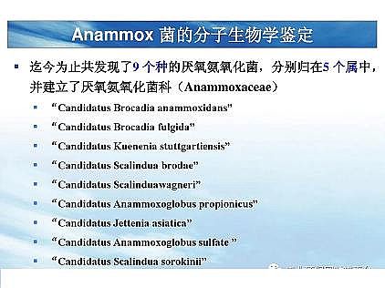 (yu)|(zh)͚a(chn)Sһf͸ˇ