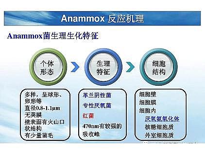 (yu)|(zh)͚a(chn)Sһf͸ˇ