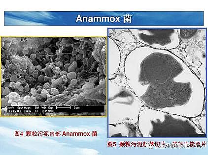 (yu)|(zh)͚a(chn)Sһf͸ˇ