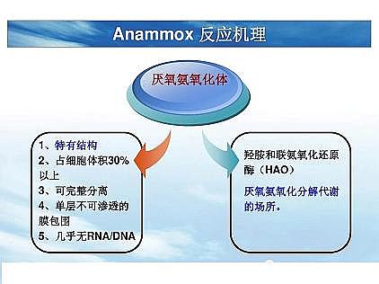 (yu)|(zh)͚a(chn)Sһf͸ˇ