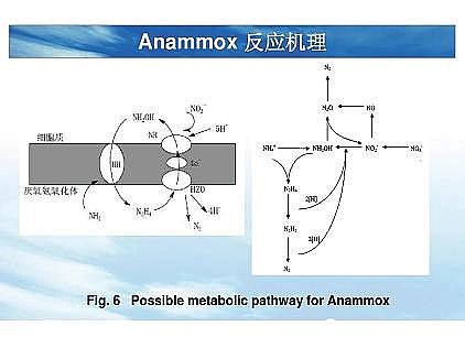 (yu)|(zh)͚a(chn)Sһf͸ˇ