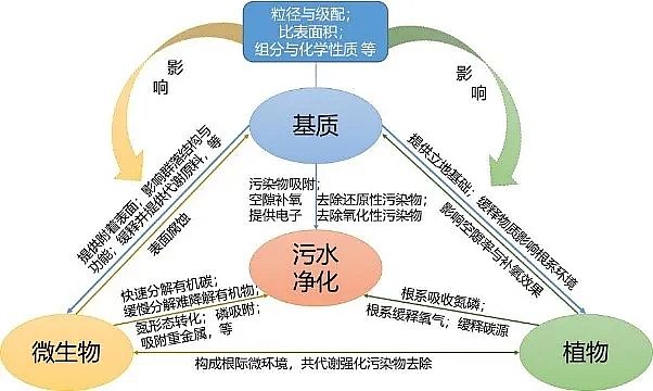 精選生物火山巖濾料廠家潛流人工濕地中基質(zhì)在污水凈化中的作用機(jī)制與選擇原理
