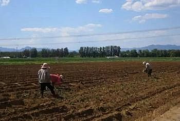 上等煤質顆粒活性炭廠家面源污染知識分享:概念與控制技術