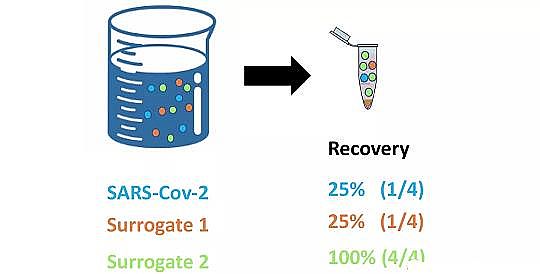 Ʒ|ۺȻFaSҡ36Nzyˮ¹ڲzyˮԸۙ¹ڲĂڅ