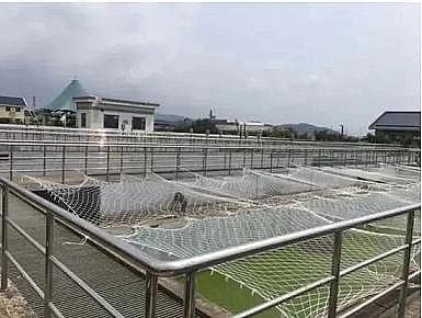 ¿xӾ۱ϩHPAMS҇11+ˮ̎SͰ!ԔB