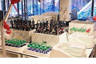 ๦ܶaS}ˮZERO BRINEѭhrĹIˮ̎