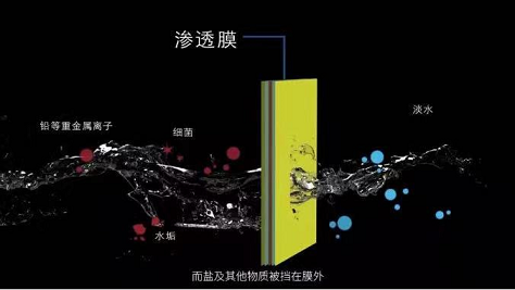 ʽܛϏSҰlίBl4ƪx£ˮ̎ĤИIӭ°lչ