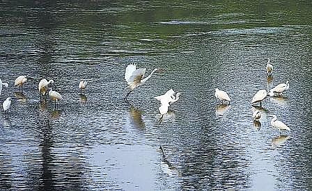 精選立體彈性填料廠家12.01億立方米!北京再生水年使用總量連續(xù)三年全國第一