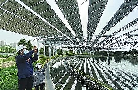 精選立體彈性填料廠家12.01億立方米!北京再生水年使用總量連續(xù)三年全國第一