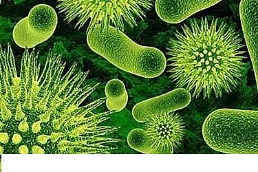 上等陰離子聚丙烯酰胺HPAM生產廠家從污水廠冬季運行氨氮的問題深入探討污水廠的實驗性課題研究