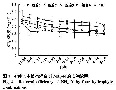 高效鵝卵石濾料生產廠家四種冬季水生植物組合對富營養化水體的凈化效果