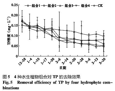 高效鵝卵石濾料生產廠家四種冬季水生植物組合對富營養化水體的凈化效果