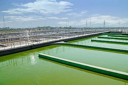 高品質(zhì)阻垢劑生產(chǎn)廠家工業(yè)廢水調(diào)試,生化出水氨氮比總氮高?一篇文章總結(jié)到位