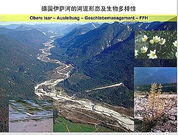 上好石英砂濾料廠家德國(guó)河道的近自然修復(fù)實(shí)踐