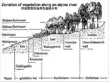 上好石英砂濾料廠家德國(guó)河道的近自然修復(fù)實(shí)踐